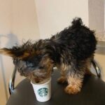 WhatsApp Image 2026-02-09 at 6.34.27 PM