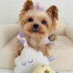 WhatsApp Image 2026-02-10 at