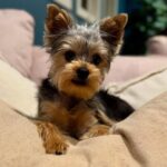 WhatsApp Image 2026-02-10 at 3.22.04 PM