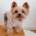 WhatsApp Image 2026-02-10 at 3.23.34 PM