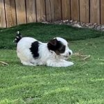 WhatsApp Image 2026-02-10 at 3.24.10 PM