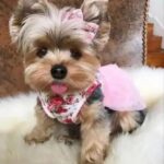 WhatsApp Image 2026-02-12 at 4.49.58 PM