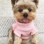 WhatsApp Image 2026-02-12 at 4.49.58 PMkhkj