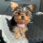 WhatsApp Image 2026-02-12 at 4.52.42 PM