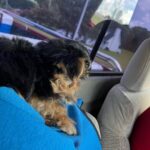 WhatsApp Image 2026-02-12 at 4.52.43 PMgjchf