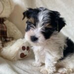 WhatsApp Image 2026-02-12 at 4.52.44 PM