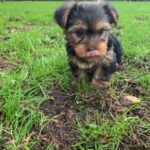 WhatsApp Image 2026-02-12 at 4.52.45 PMmbc