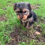 WhatsApp Image 2026-02-12 at 4.52.46 PMfxf