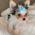 WhatsApp Image 2026-02-12 at 4.52.46 PMkhfhx